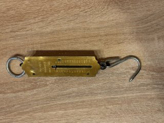 Federwaage Federzugwaage Hängewaage 25 kg