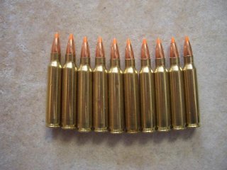Dekomunition .223, 10 Stück,Nosler
