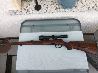 Steyr Mannlicher Stutzen 222