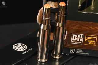 RWS Driven Hunt Short Rifle Kaliber .308Win