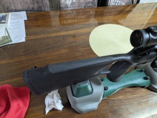 Blaser R8 Professional Success