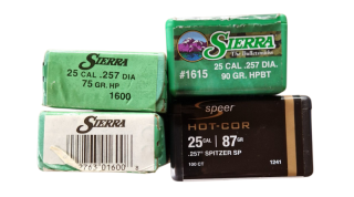 Geschosse (Sierra + Speer) - 25 cal. / .257 DIA