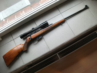 Walther 22 Hornet