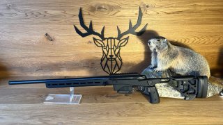 Tikka T3x ACE Target .308Win - 62cm - 5/8x24 - Waffen Schlemmer Ingolstadt