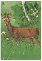 1 Stück - DJV Scheibe Nr. 1 REHBOCK 100m (86x122cm) Jagdkurs, Jägerprüfung, Wildscheibe, Zielscheibe