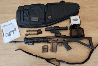 SIG SPORT 551 .223 Rem