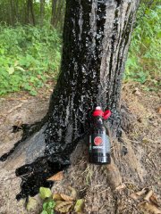 Lockmittel: Black Fire Original Tar 6er-Pack - Schwarzwild