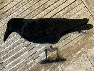 20 beflockte Lockkrähen – neuwertig – nie jagdlich eingesetzt