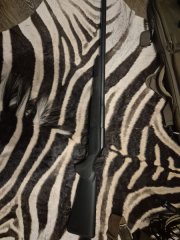 Blaser R93 .416 rem Mag.