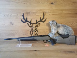 Blaser R8 Professional 2.0 .308Win - 52cm - Dark Olive - Waffen Schlemmer