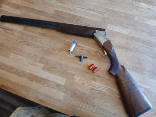 BDF Franci Alcione SX 2 12/76 Rarität!