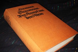Der Kampf um den Rhein - Hermann Stegemann Buch 1921