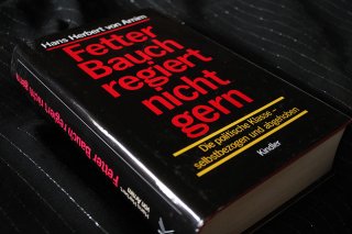 FETTER BAUCH REGIERT NICHT GERN - Die Politische Klasse-Selbstbezogen und Abgehoben