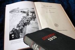 STURM 1918 - Sieben Tage Deutsches Schicksal Paul Coelestin Ettighoffer