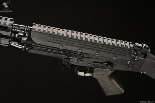 Lux Def Tec Modell LDT-Z-L1A1 Kaliber .308Win