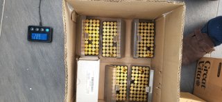250 St. CBC .44 Mag in Dosen gezündert
