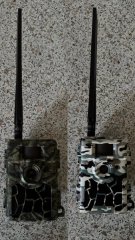 Wildkamera / Fotofalle 4G