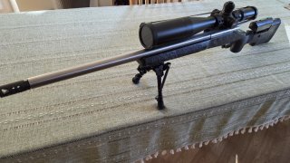 SMH PRECISION .308WIN mit DELTA STRYKER HD 5-50X56