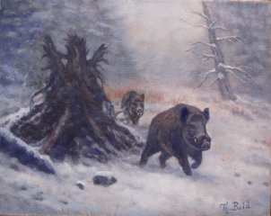 Jagdgemälde "SCHWARZWILD IM WINTER" - Jagdmaler - Thomas Bold -