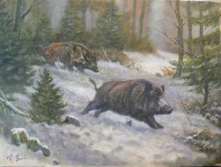 Jagdgemälde "SAUEN IM WINTERWALD" - Jagdmaler - Thomas Bold -