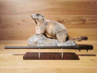 Wechsellauf Blaser R8 6.5 Creedmoor - 58cm - Gewinde M15x1 - Waffen Schlemmer Ingolstadt