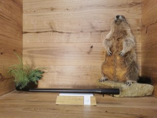 Wechsellauf Blaser R8 .308Win - 47cm - Semi Weight - M17x1 - Waffen Schlemmer Ingolstadt