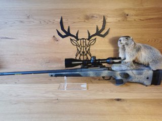 Bergara B14 Wilderness Thumbhole Carbon 7mm PRC - 56cm - Steiner Ranger 8 3-24x56 - Waffen Schlemmer