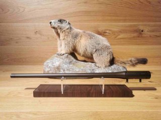Blaser R8 Wechsellauf .223Rem - 47cm - M15x1 - Waffen Schlemmer Ingolstadt