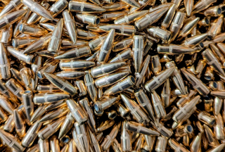1000 Stück Geschosse .224 Vollmantelgeschosse 55 Grain