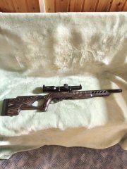 Ruger 10/22 Target Lite