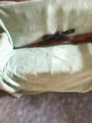 Antonio Zoli Taiga Laserwood