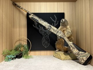 Browning Maxus 2 Camo - 12/89 - 76cm - Wechselchoke - Waffen Schlemmer Ingolstadt