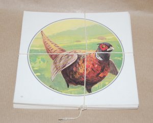 *** Wildmotive FASAN Scheiben 25x 14cmx14cm***