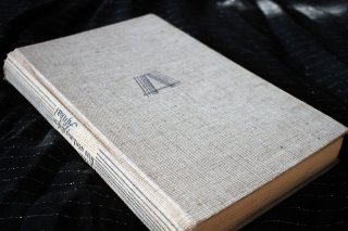 Was wird aus diesem Afrika ? - Erlebter Kampf um einen Erdteil Gustav Adolf Gedat (Buch aus 1938)