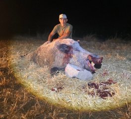 Keiler Jagd