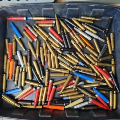 .223 Sammlerpatronen - Platz, PT, Exerzier - alle ohne Pulver