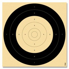 250 Stück Einsteckspiegel Nr. 8 Großkaliber Qualifikationsscheibe 25m Unterhebelgewehr B 50m 26x26cm