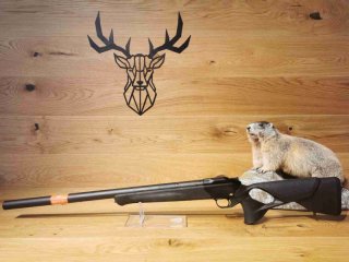 Blaser R8 Ultimate Silence .308Win - 47cm - Integralschalldämpfer - Sonderposten - Waffen Schlemmer