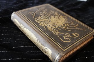 Der letzte Strauß - Vermischte Gedichte Karl Gerok 1892 Mit handschriftl. Widmung aus 1898 !