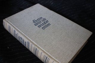 Heim will ich wieder reiten - Historischer Roman aus der Buchreihe 'Nordischer Geist' Albin Widen
