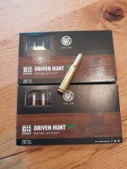 41 Patronen RWS Driven Hunt, 308. Win, 10,7 Gramm, bleifrei