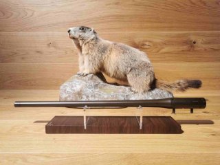 Austauschlauf Blaser R8 .308Win - 52cm - M15x1 - Bestzustand - Waffen Schlemmer