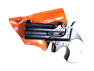 Derringer, Reck, .22WinMag, mit Holster