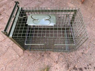 Abfangkorb / Entnahmekäfig für Kastenfalle (50 x 28 x 28 cm) – Ungenutzt!