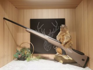 Mauser M18 Feldjagd .243Win - 56cm - M17x1 - Kanneliert - Waffen Schlemmer Ingolstadt