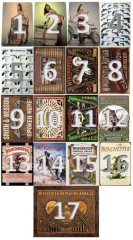 Blechschild / Smith Wesson / Ruger / Winchester / Remington / 17 Designs
