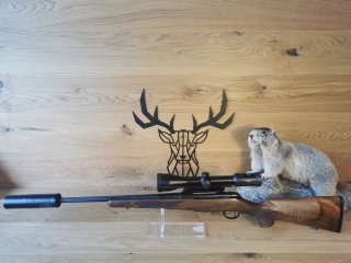 Zoli AZ1900 MTC Evo .308Win - 53cm - Meopta R2 2,5-15x56 - Hausken JD184 Xtreme - Waffen Schlemmer