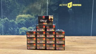 Rottweil FE Load Bleifrei // Kal. 12/70, 3,3mm, 36g // 15 Schachteln // NEU
