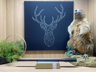 Blaser R8 Wechsellauf .270Win - 58cm - M15x1 - Waffen Schlemmer