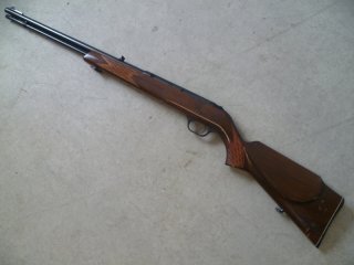 SLB Anschütz - Savage Modell 6P-M .22lr